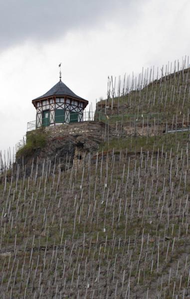 Weingut & Gaestehaus Schmitz-Bergweiler Bernkastel-Kues Eksteriør bilde